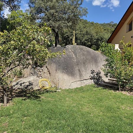Casa Feliz Sant Cebrià de Vallalta Exterior foto