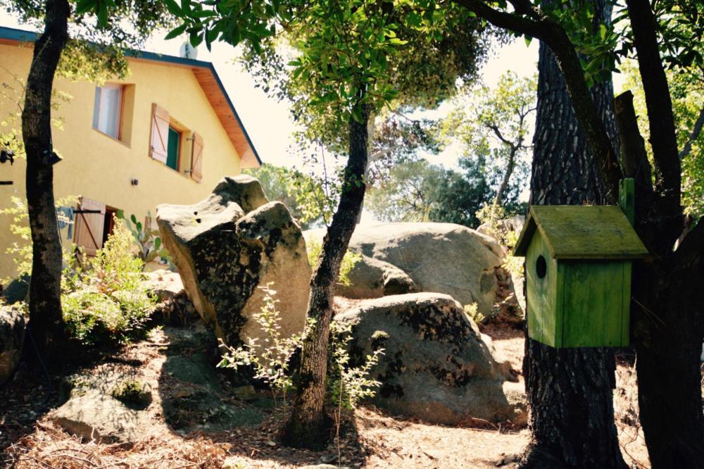Casa Feliz Sant Cebrià de Vallalta Exterior foto